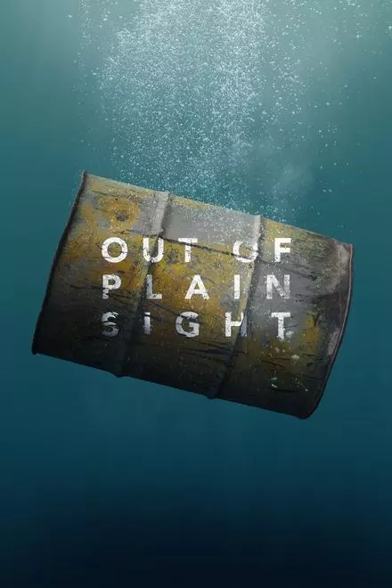 Out of Plain Sight Out of Plain Sight